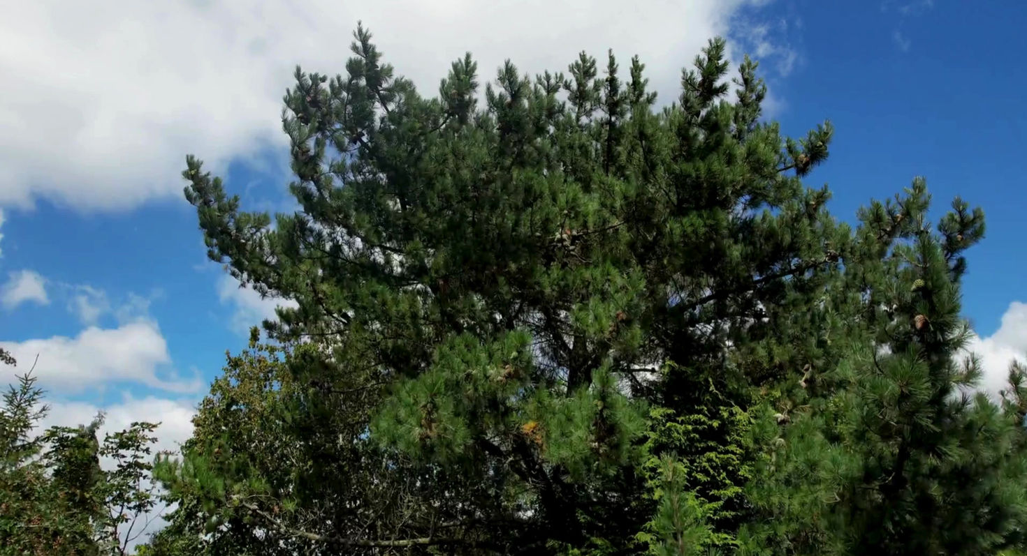 Discover The Herdman Healing Sanctuary